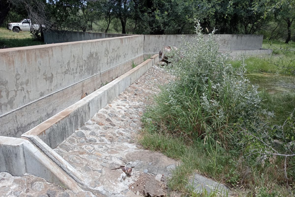 A rustic concrete and stone water trough structure situated within a natural farm garden setting, showing signs of age and weathering.