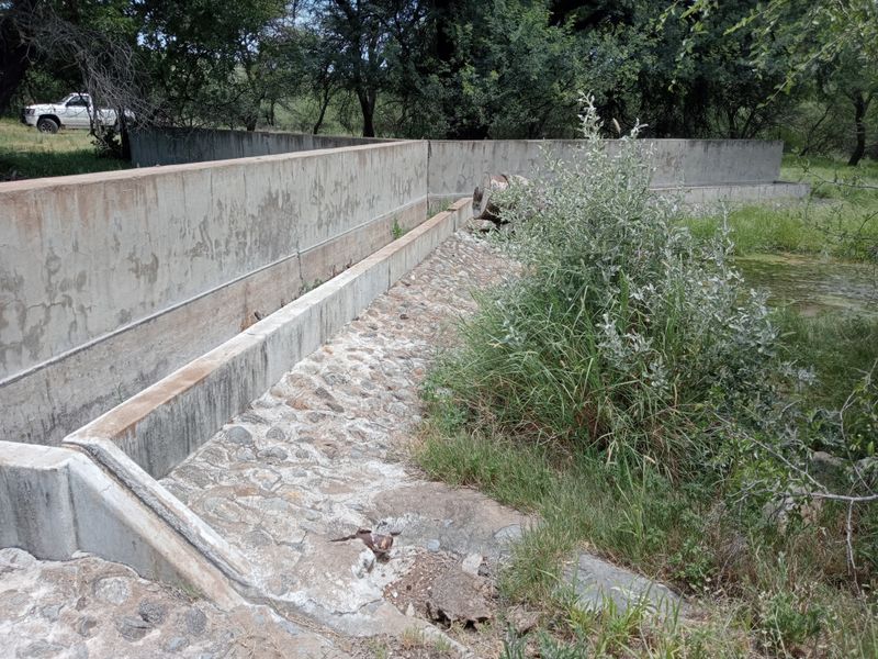 A rustic concrete and stone water trough structure situated within a natural farm garden setting, showing signs of age and weathering.