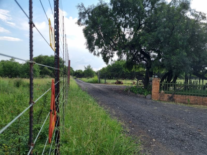 Olifantsnek Dam – Special- Zoned small holding - Endless Business Potential - Photo 6