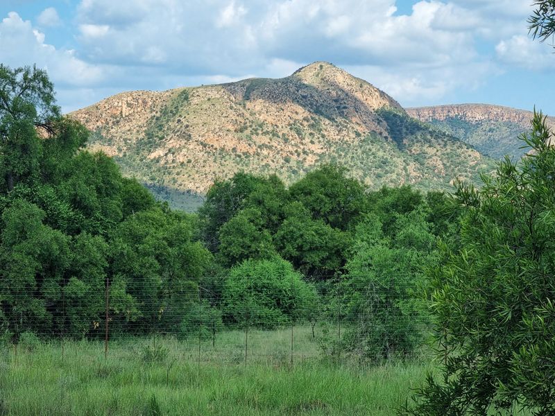 Olifantsnek Dam – Special- Zoned small holding - Endless Business Potential - Photo 9