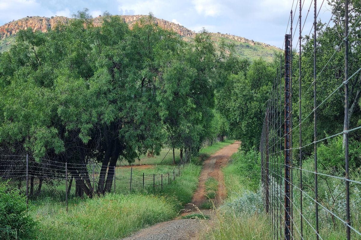 Olifantsnek Dam – Special- Zoned small holding - Endless Business Potential - Photo 4