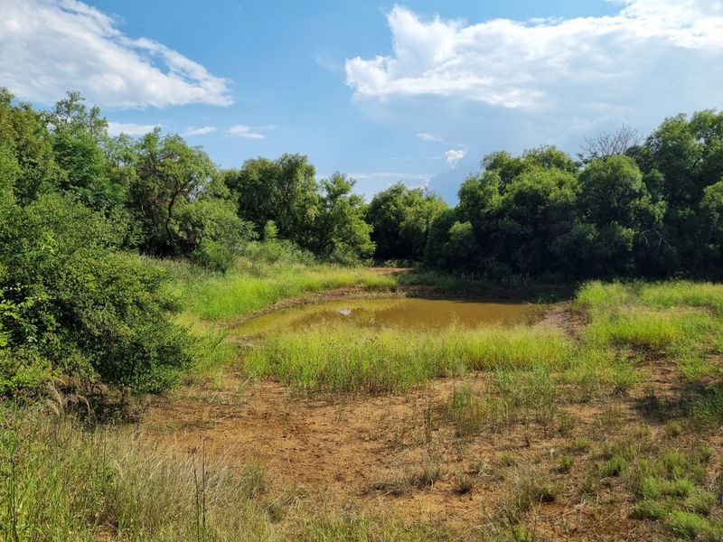 Special-Zoned Small Holding – Olifantsnek Dam – Endless Possibilities in the Magalies Biosphere - Photo 2