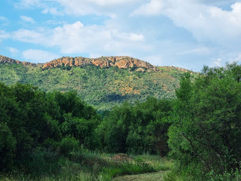 Special-Zoned Small Holding – Olifantsnek Dam – Endless Possibilities in the Magalies Biosphere - Photo 4