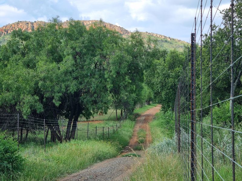 Special-Zoned Small Holding – Olifantsnek Dam – Endless Possibilities in the Magalies Biosphere - Photo 8