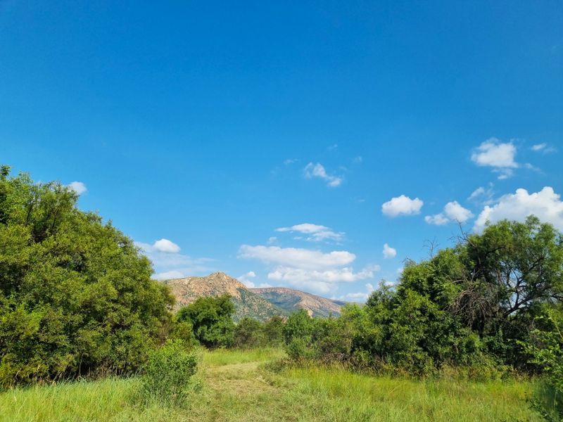 Special-Zoned Small Holding – Olifantsnek Dam – Endless Possibilities in the Magalies Biosphere - Photo 3