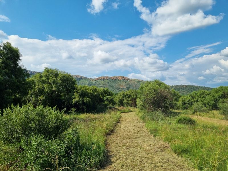 Special-Zoned Small Holding – Olifantsnek Dam – Endless Possibilities in the Magalies Biosphere - Photo 5
