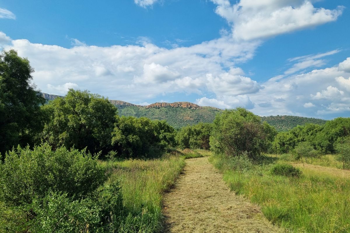 Special-Zoned Small Holding – Olifantsnek Dam – Endless Possibilities in the Magalies Biosphere - Photo 5