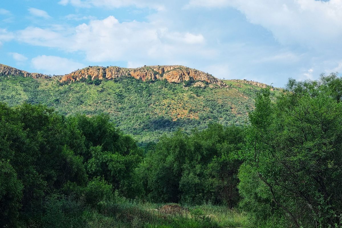 A scenic view of a natural mountain range and lush indigenous vegetation, showcasing the landscape potential of the vacant land.