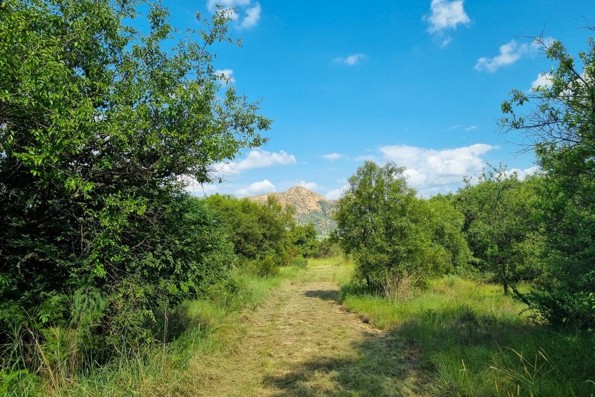 A scenic view of the vacant commercial land featuring natural vegetation and a cleared pathway leading towards a distant mountain.