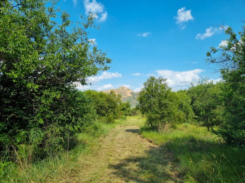 A scenic view of the vacant commercial land featuring natural vegetation and a cleared pathway leading towards a distant mountain.