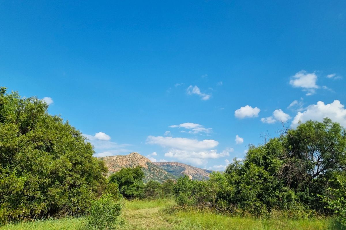 A scenic view of the natural landscape featuring rolling hills and native vegetation on the vacant commercial property.