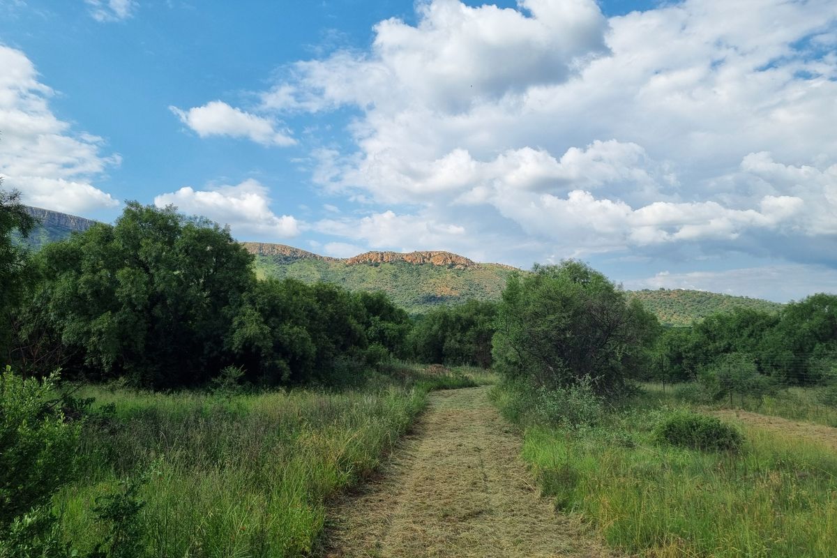 A scenic view of a natural landscape featuring a cleared pathway leading towards a mountain range under a blue sky with clouds.