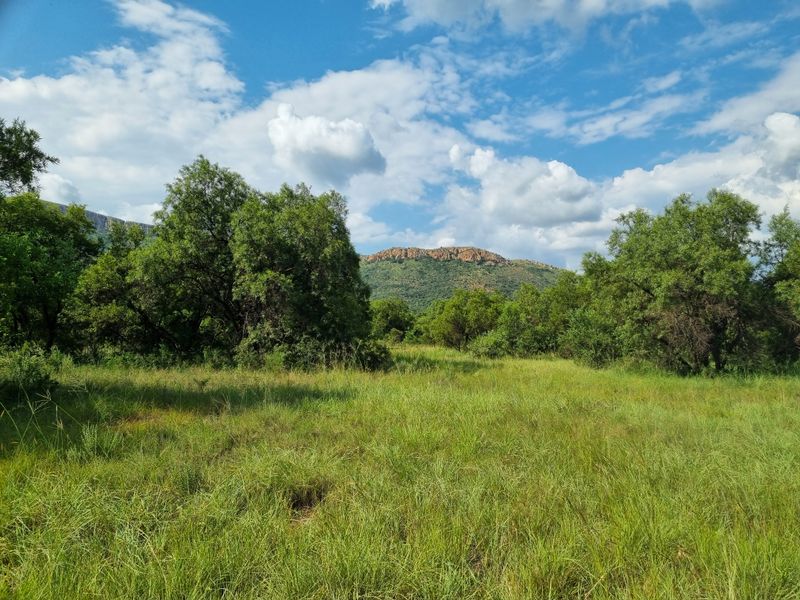 A scenic view of the undeveloped commercial land featuring natural grass, indigenous trees, and a prominent mountain backdrop.