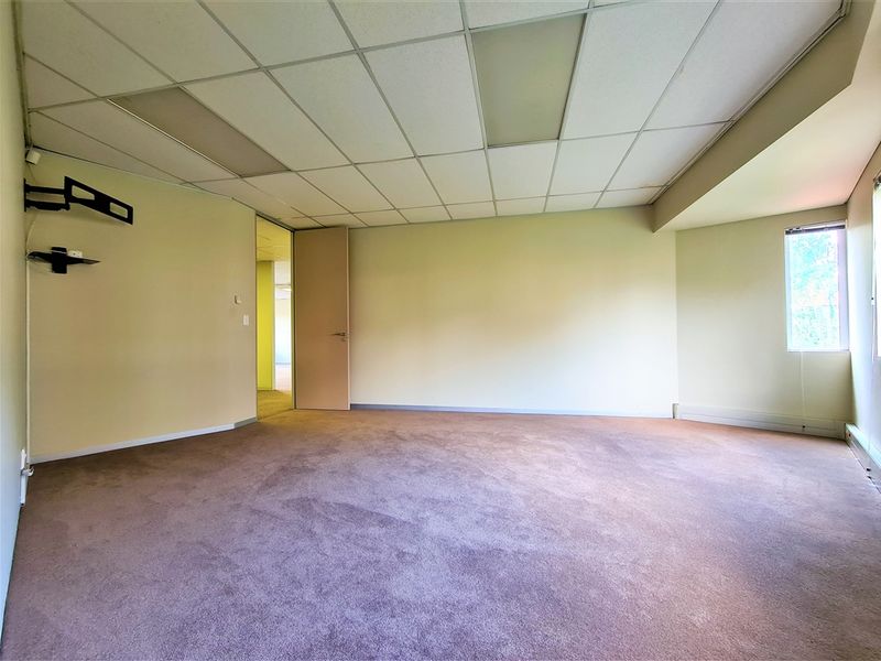 An empty office space featuring a suspended ceiling, recessed lighting, and carpeted flooring, providing a functional and versatile work environment.