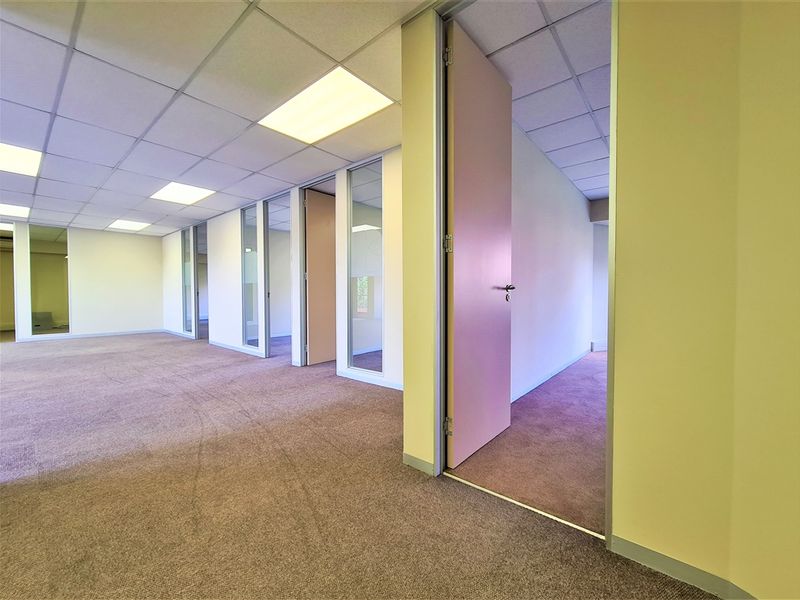 A spacious, empty office suite featuring glass partitions, suspended ceilings with recessed lighting, and neutral carpeting throughout.