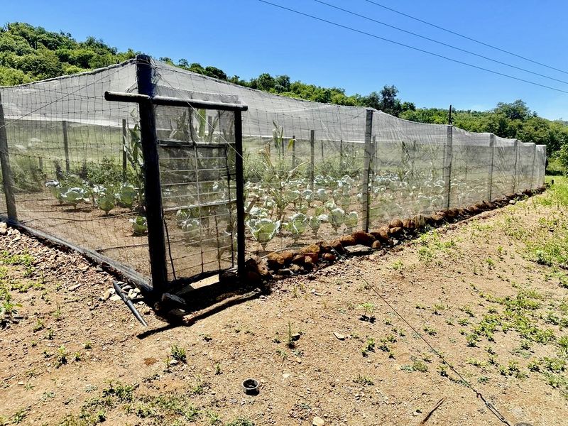 Exceptional Lifestyle Farm 42.24-Hectare Farm in Badfontein, Lydenburg - Photo 3