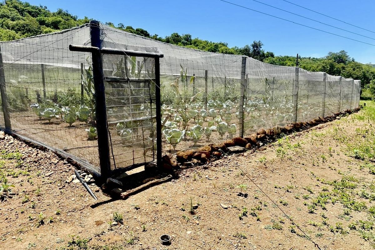 Exceptional Lifestyle Farm 42.24-Hectare Farm in Badfontein, Lydenburg - Photo 3