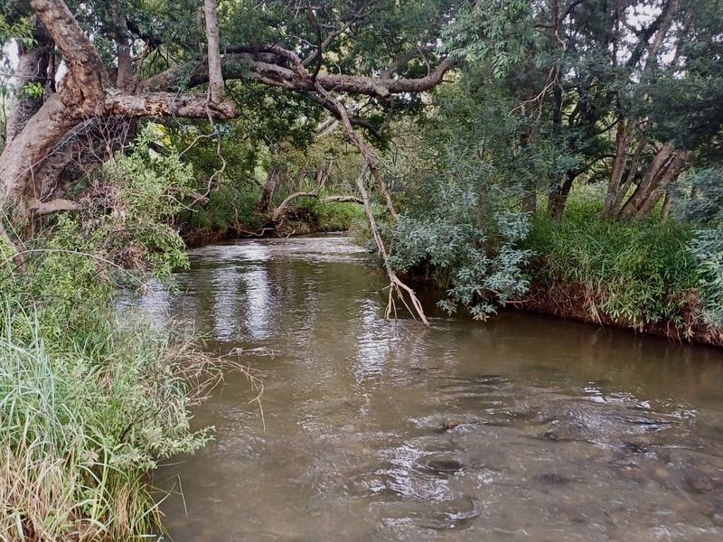 Exceptional Lifestyle Farm 42.24-Hectare Farm in Badfontein, Lydenburg - Photo 5