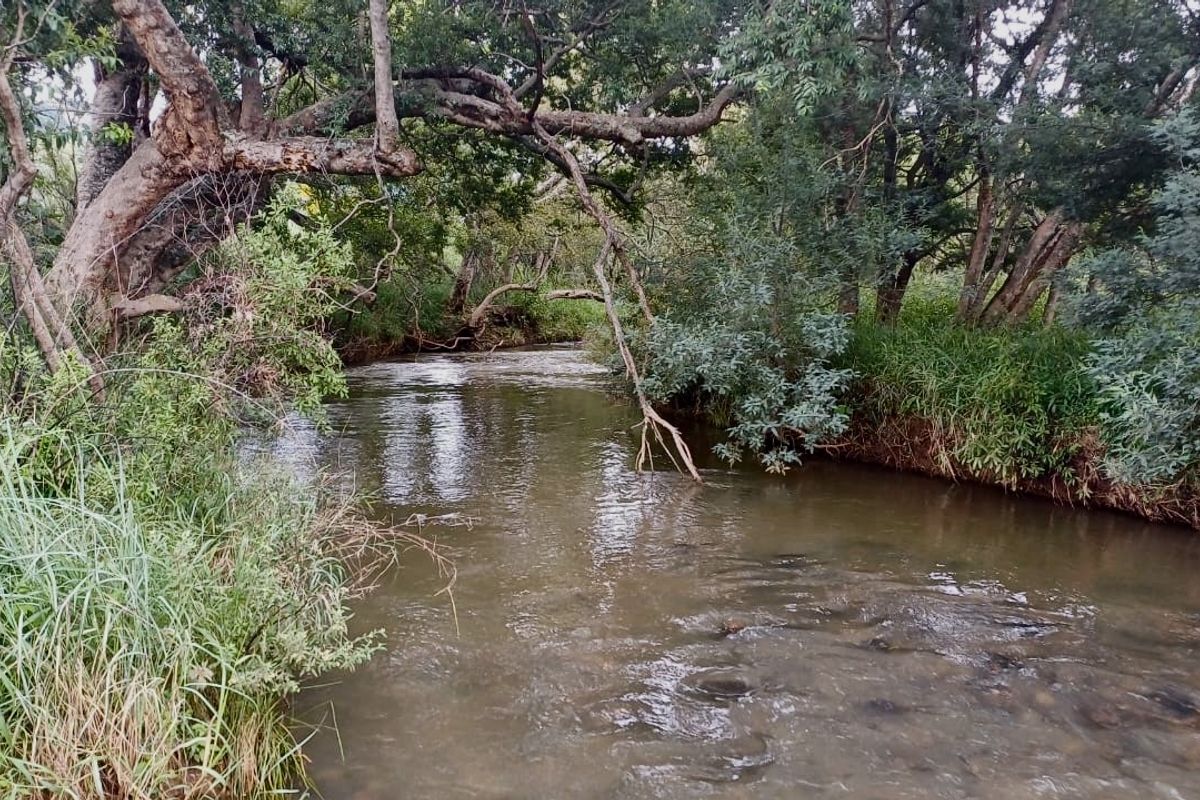 Exceptional Lifestyle Farm 42.24-Hectare Farm in Badfontein, Lydenburg - Photo 5