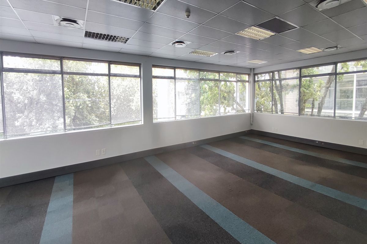 Offices to let in Illovo - Photo 4
