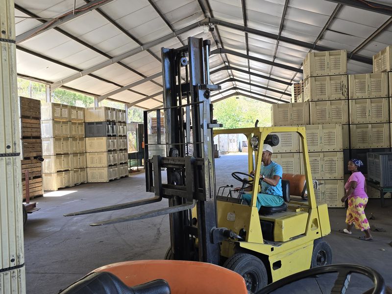 Franschhoek farm on the Wemmershoek river for sale. - Photo 6