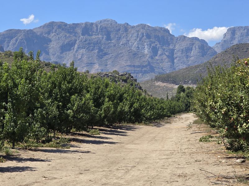 Franschhoek farm on the Wemmershoek river for sale. - Photo 10
