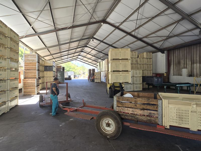 Franschhoek farm on the Wemmershoek river for sale. - Photo 7