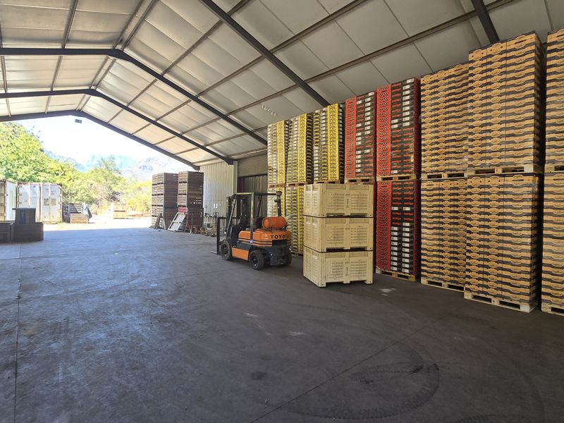 Franschhoek farm on the Wemmershoek river for sale. - Photo 8