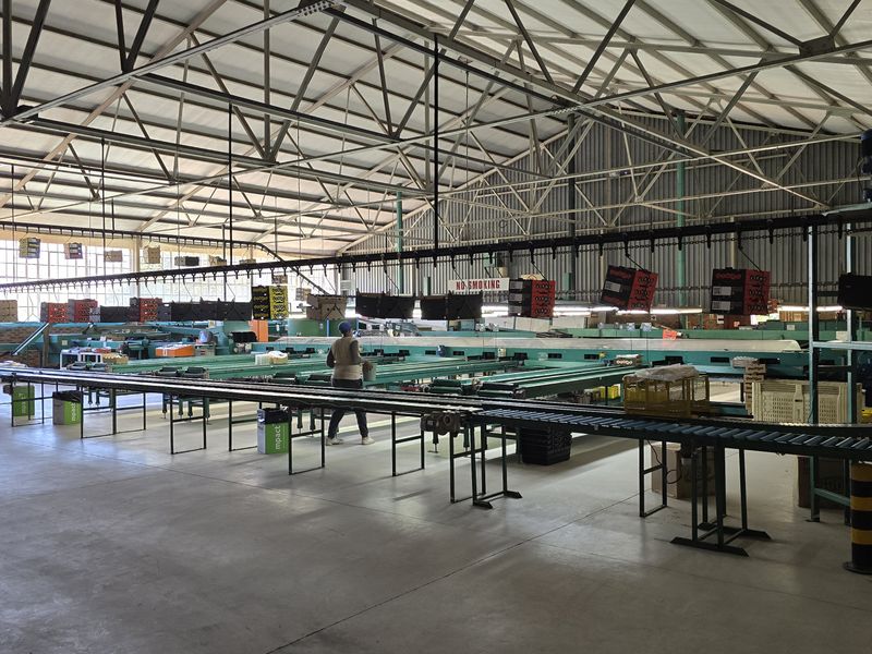 Franschhoek farm on the Wemmershoek river for sale. - Photo 5