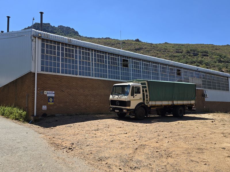 Franschhoek farm on the Wemmershoek river for sale. - Photo 4