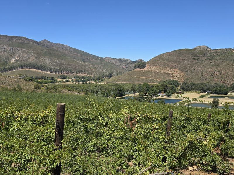 Franschhoek farm on the Wemmershoek river for sale. - Photo 3