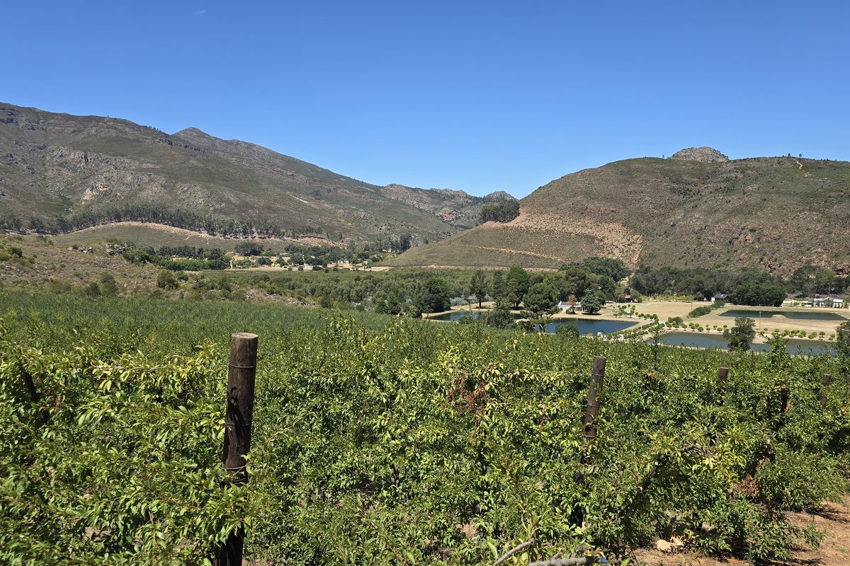 Franschhoek farm on the Wemmershoek river for sale. - Photo 3