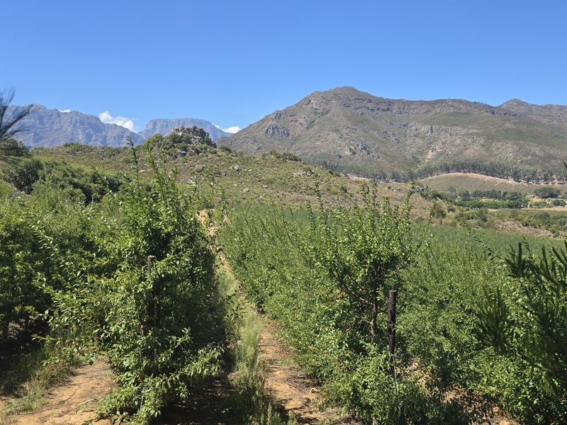 Franschhoek farm on the Wemmershoek river for sale. - Photo 2