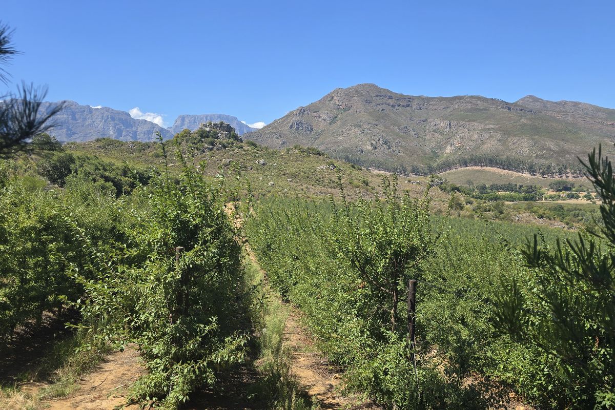 Franschhoek farm on the Wemmershoek river for sale. - Photo 2