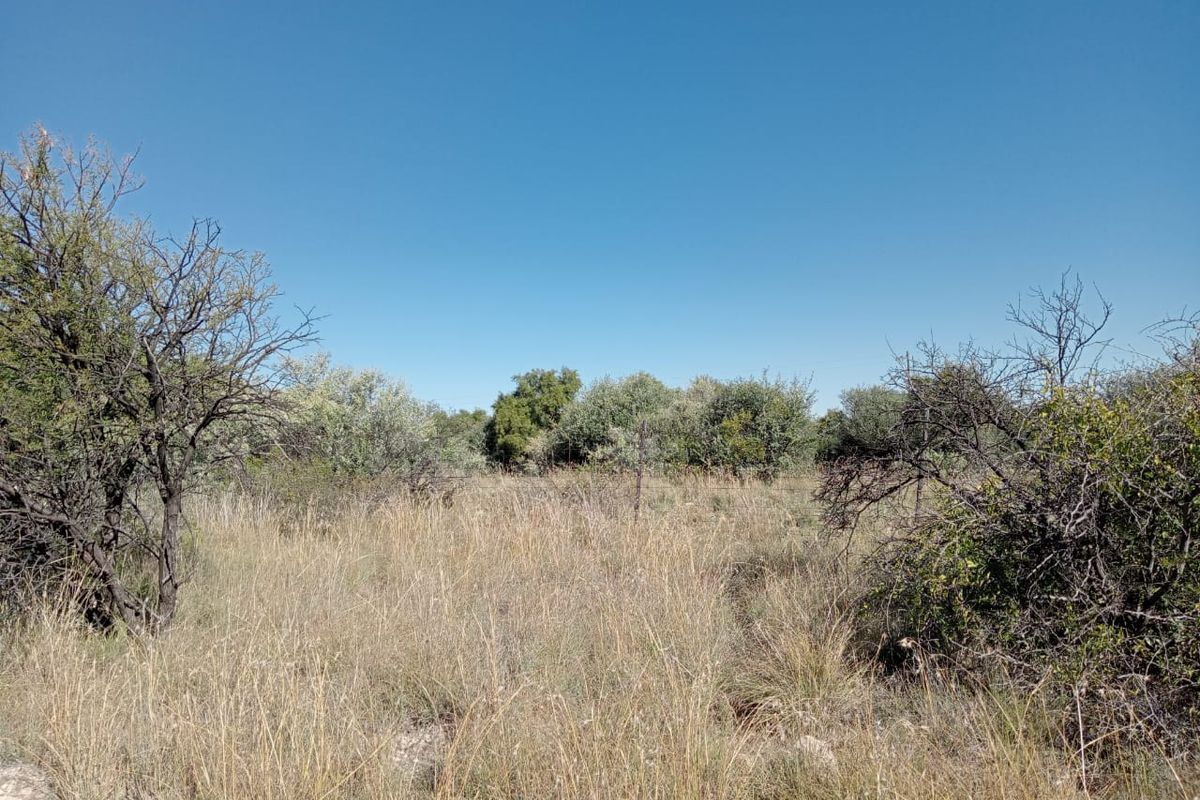 A view of the undeveloped natural landscape and vegetation on the farm property.