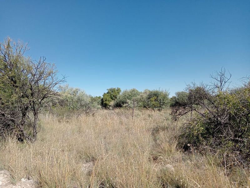 A view of the undeveloped natural landscape and vegetation on the farm property.