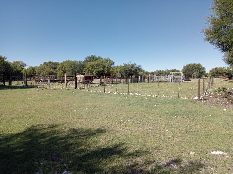 An open farm area featuring wire fencing and livestock handling infrastructure, including pens and a cattle crush, set within a rural landscape.