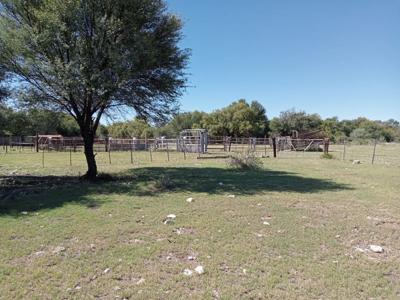 Outdoor farm area featuring established livestock handling facilities, including metal pens and a cattle crush, set within a grassy paddock.