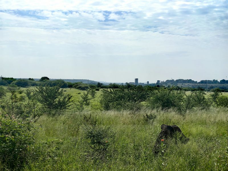 A wide-angle view of the expansive rural landscape and natural vegetation surrounding the property.