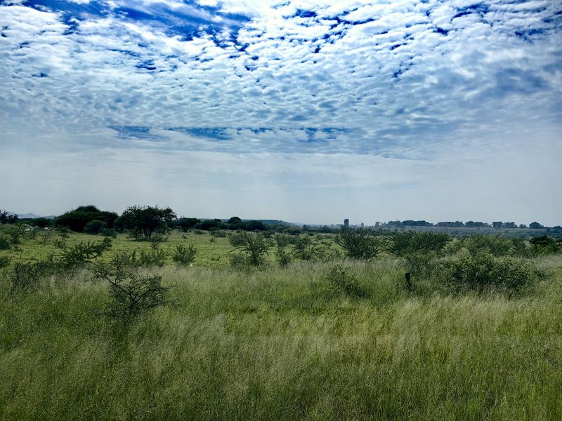 Expansive view of the open farm landscape featuring natural grasslands and scattered indigenous vegetation under a bright, cloudy sky.