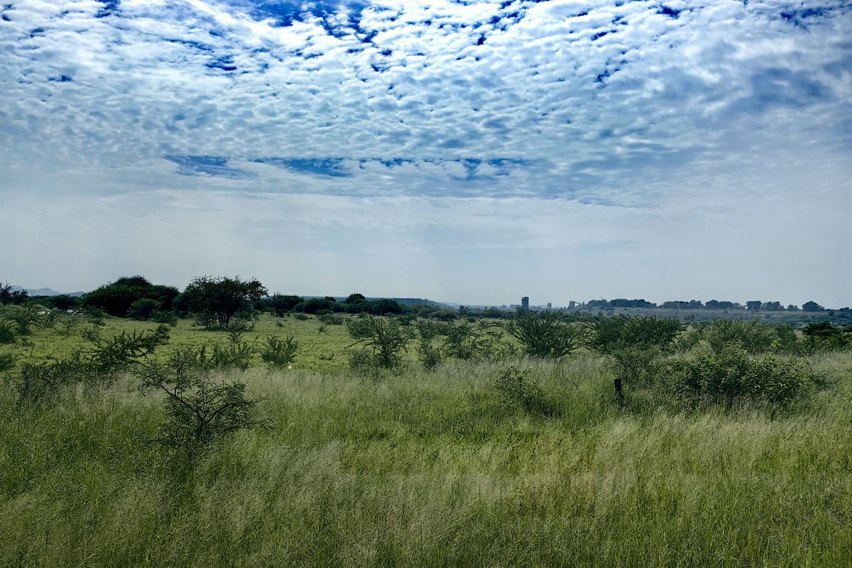 Expansive view of the open farm landscape featuring natural grasslands and scattered indigenous vegetation under a bright, cloudy sky.