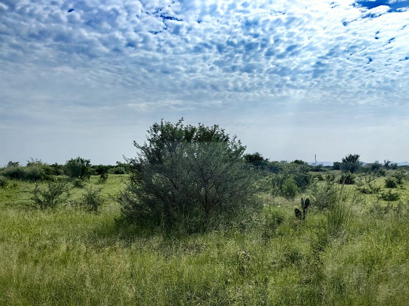 A wide-angle view of open farm land featuring natural vegetation and native shrubs under a bright, cloudy sky.