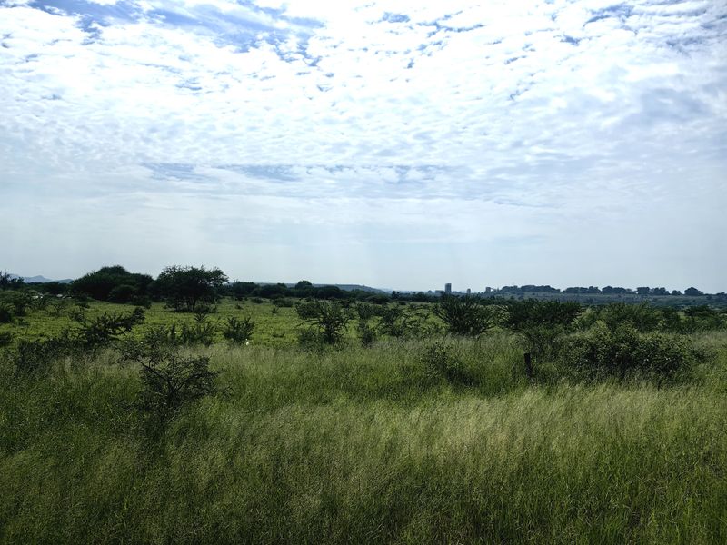 Expansive view of the natural farm landscape featuring open grasslands and indigenous vegetation under a cloudy sky.