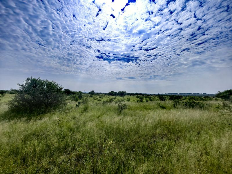 A wide-angle view of the open farm landscape featuring natural grassland and scattered indigenous vegetation under a dramatic cloudy sky.
