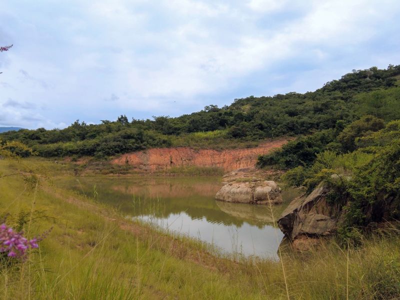 Stunning Agricultural Farm with Prime Macadamia, Avocado & Lemon Production Near Nelspruit - Photo 5