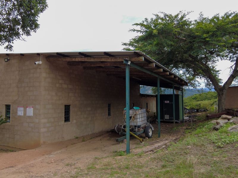 Stunning Agricultural Farm with Prime Macadamia, Avocado & Lemon Production Near Nelspruit - Photo 10