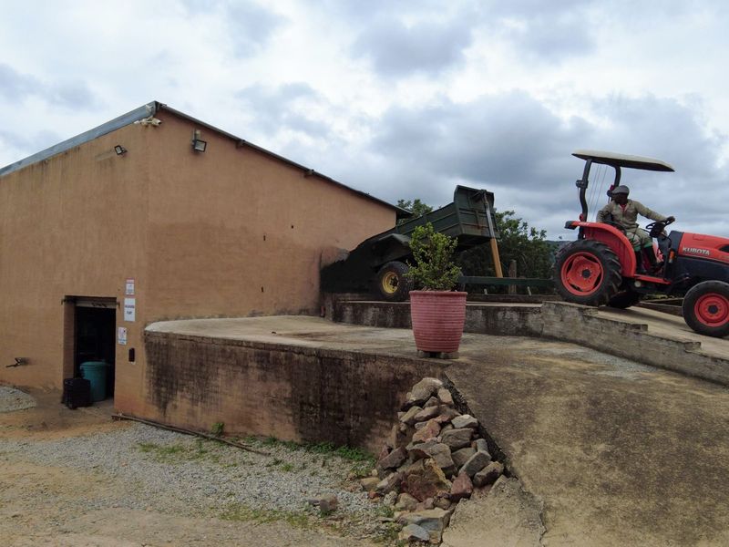 Stunning Agricultural Farm with Prime Macadamia, Avocado & Lemon Production Near Nelspruit - Photo 8