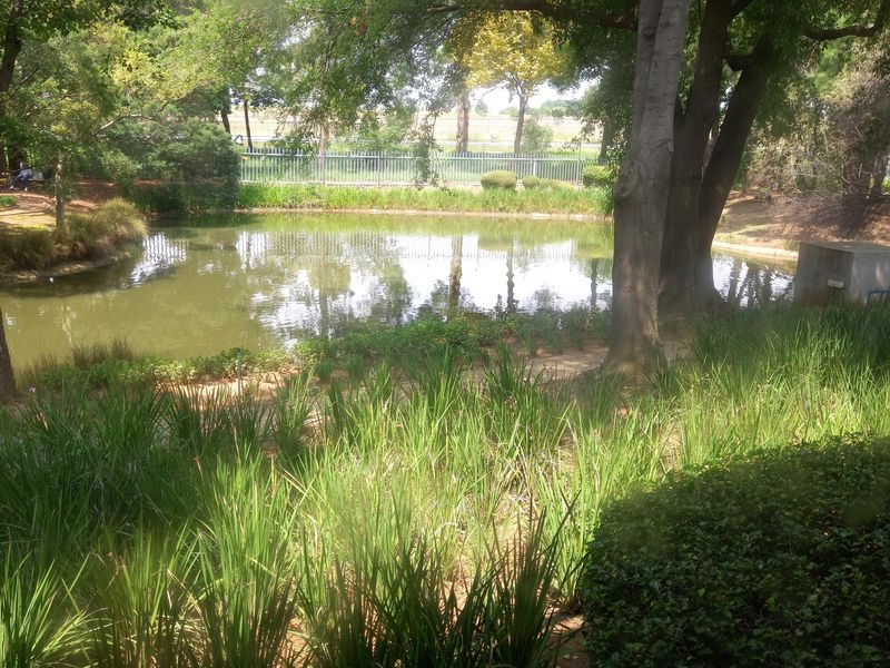 A scenic view of a tranquil pond surrounded by mature trees and landscaped greenery, providing a peaceful outlook from the office property.