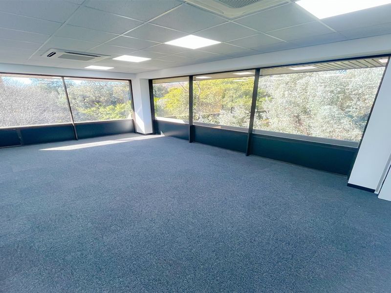A bright, vacant office space featuring large floor-to-ceiling windows, carpeted flooring, and a modern suspended ceiling with integrated lighting and air conditioning.