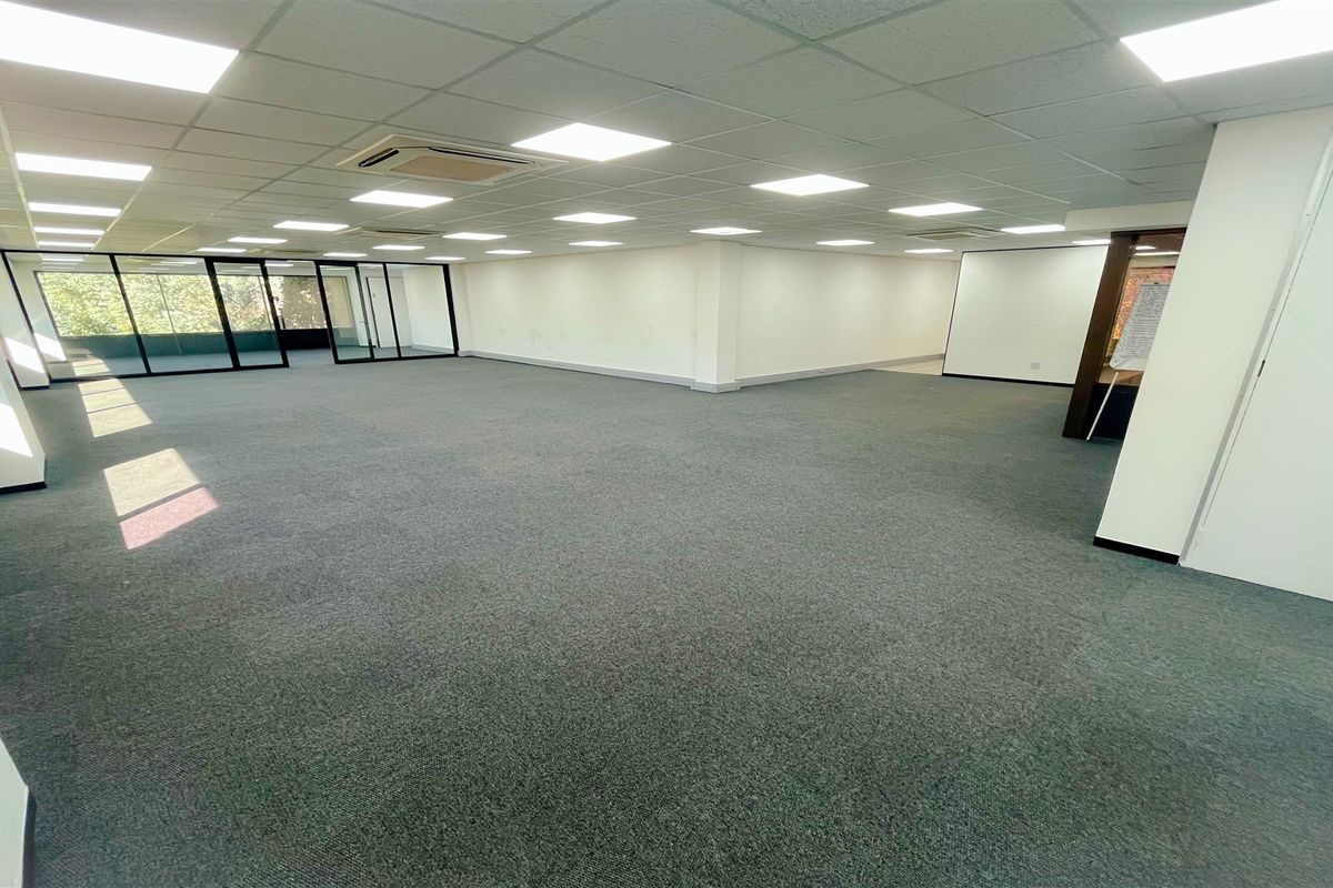 A spacious, open-plan office area featuring a suspended ceiling with recessed LED lighting, carpeted flooring, and large glass partitions providing natural light.